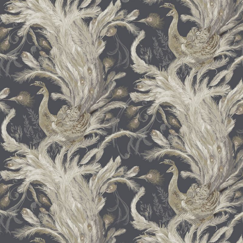 Pavone Sketch Twenty 3 Wallpaper Medici Graphite PA01615 PAO1615 By Tim Wilman