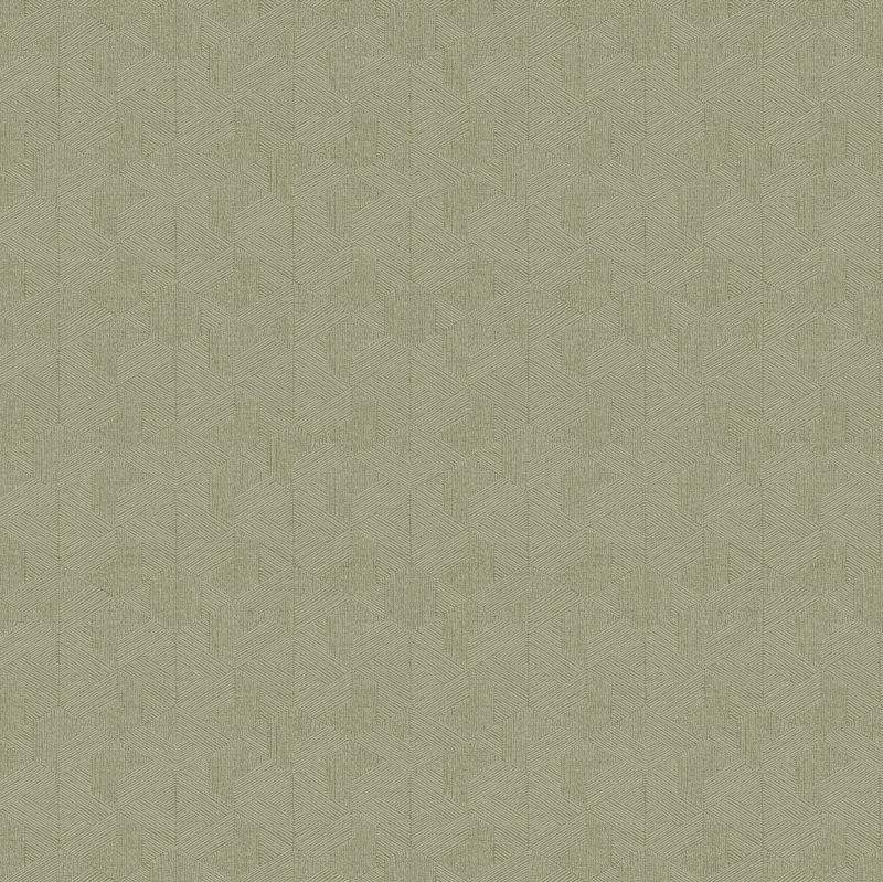 Pavone Sketch Twenty 3 Wallpaper Modena Intaglio PA01621 PAO1621 By Tim Wilman