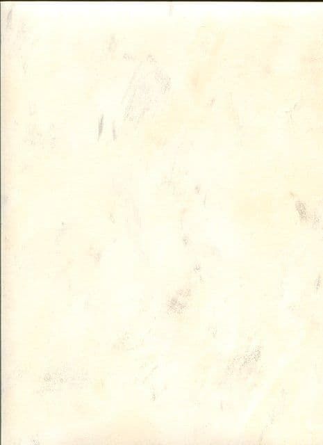 Paradise Wallpaper PA34200 By Norwall For Galerie