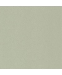 Botanica Wallpaper Canevas BOTA82071125 BOTA8207 11 25 By Casadeco
