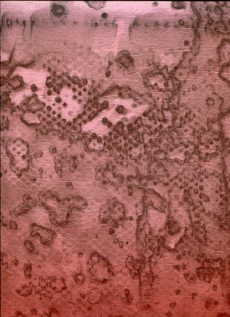 Caractere Wallpaper Panoramic Expression 72730185 or 7273 01 85 By Casamance