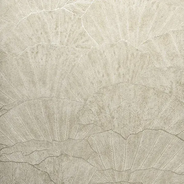 Feel Seashell Beige Wallpaper Page 11 65003 By Hohenberger For Galerie