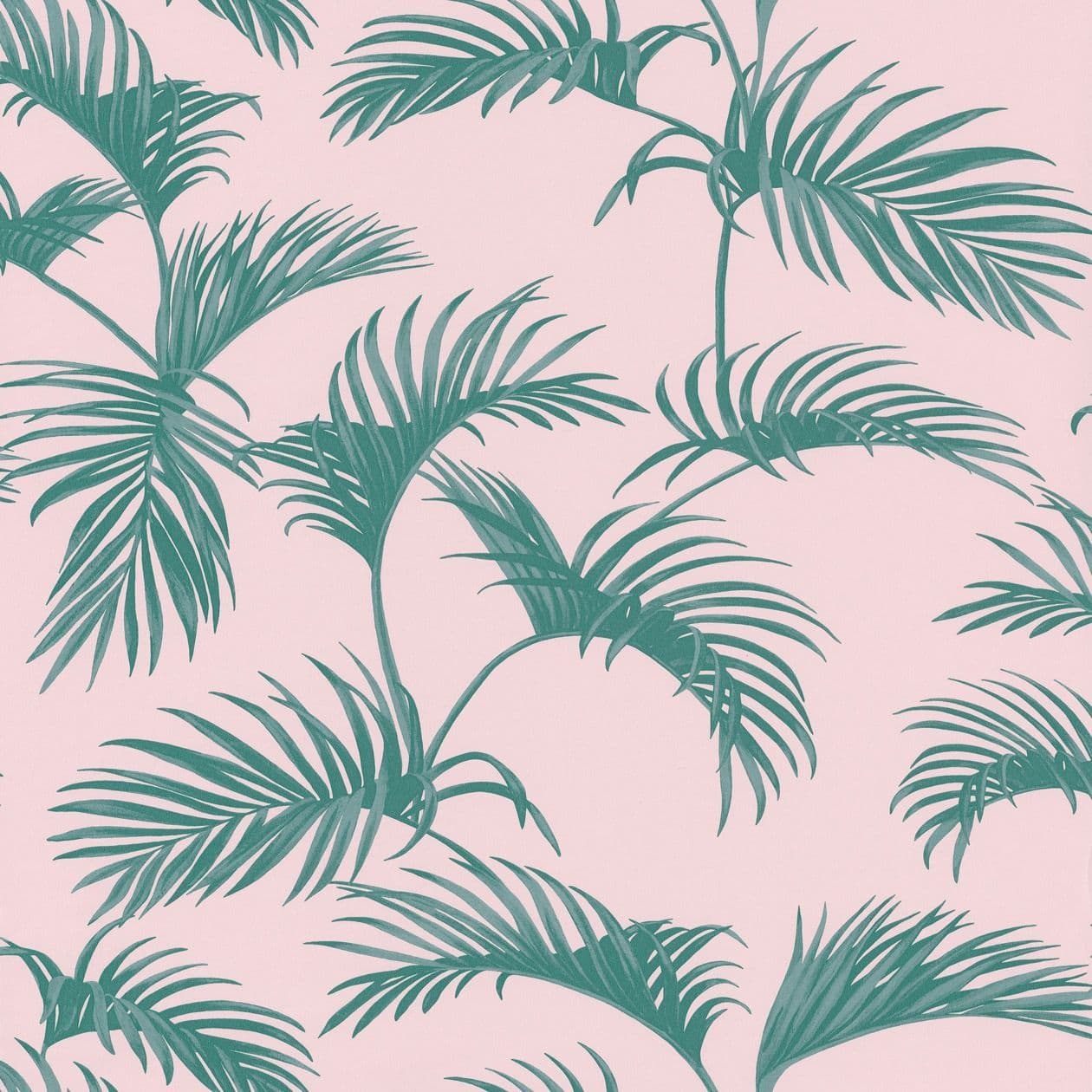 Jungle Wallpaper Palmes JUN 10003 79 00 JUN100037900 By Caselio