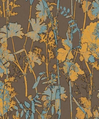 Kosmos Wallpaper Jaden Sahara KOS504 or KOS 504 By Zoom For Colemans