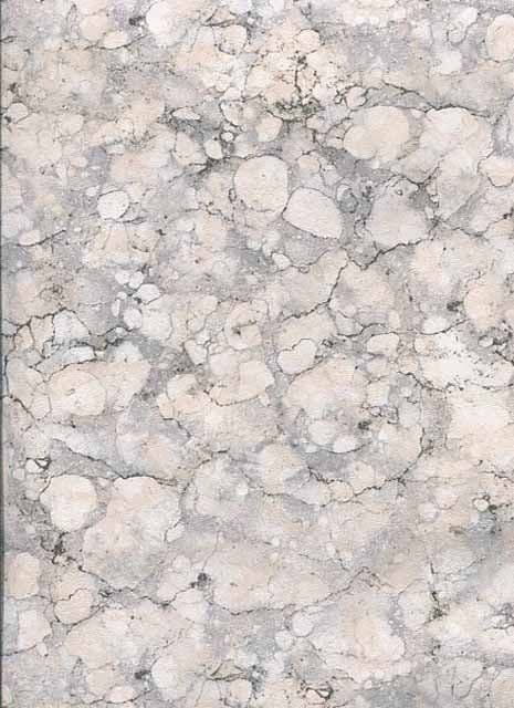 Texture Style Wallpaper TX34812 By Norwall For Galerie